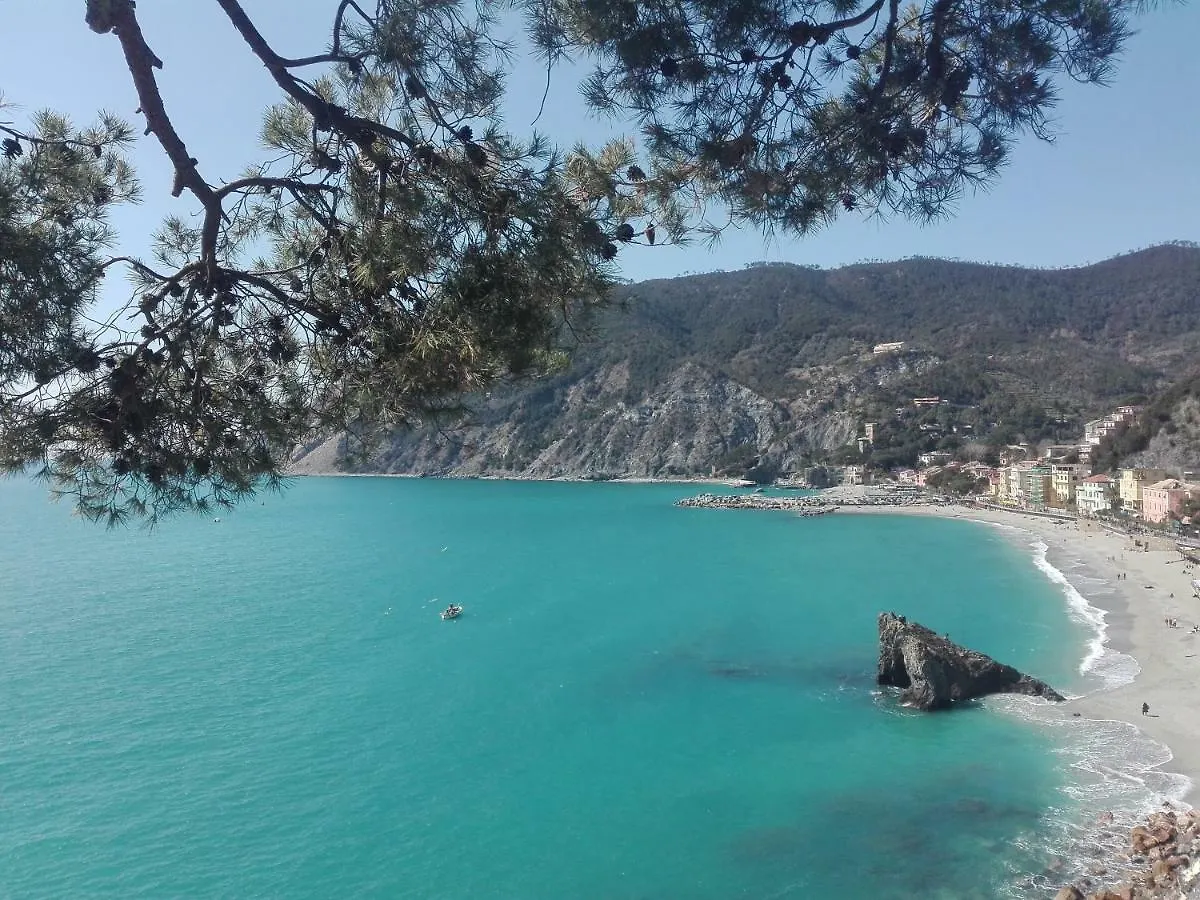 Il Sogno Apartments Monterosso al Mare